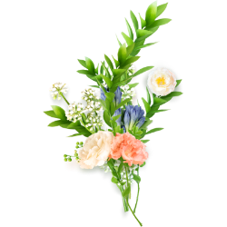 <span style="color: #07aefc"></span>素材