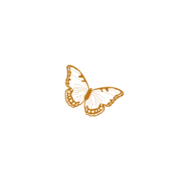 <span style="color: #07aefc"></span>素材