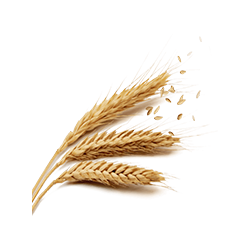 <span style="color: #07aefc"></span>素材