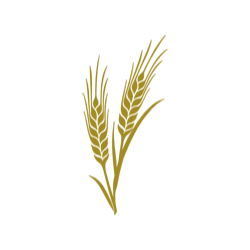 <span style="color: #07aefc"></span>素材