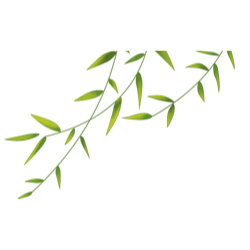 <span style="color: #07aefc"></span>素材