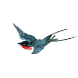 <span style="color: #07aefc"></span>素材