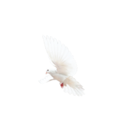 <span style="color: #07aefc"></span>素材