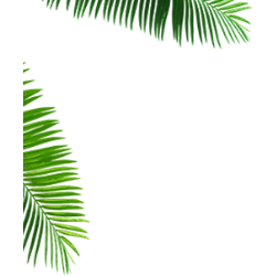 <span style="color: #07aefc"></span>素材