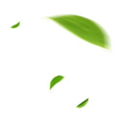 <span style="color: #07aefc"></span>素材