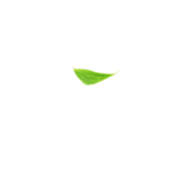 <span style="color: #07aefc"></span>素材
