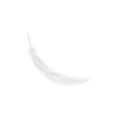 <span style="color: #07aefc"></span>素材