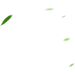 <span style="color: #07aefc"></span>素材
