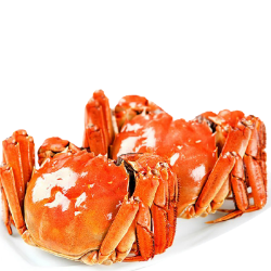 <span style="color: #07aefc"></span>素材