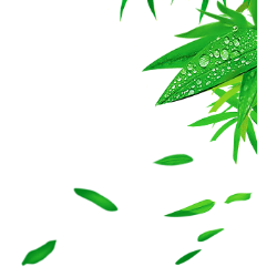 <span style="color: #07aefc"></span>素材