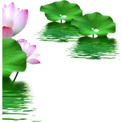 <span style="color: #07aefc"></span>素材