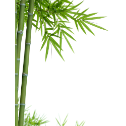<span style="color: #07aefc"></span>素材