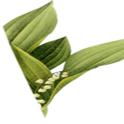 <span style="color: #07aefc"></span>素材
