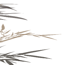 <span style="color: #07aefc"></span>素材
