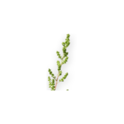 <span style="color: #07aefc"></span>素材