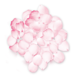 <span style="color: #07aefc"></span>素材
