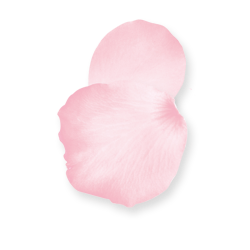 <span style="color: #07aefc"></span>素材