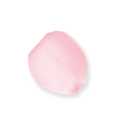 <span style="color: #07aefc"></span>素材