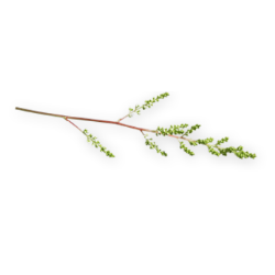 <span style="color: #07aefc"></span>素材