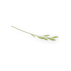 <span style="color: #07aefc"></span>素材