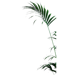 <span style="color: #07aefc"></span>素材