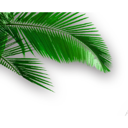 <span style="color: #07aefc"></span>素材