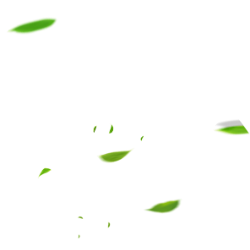 <span style="color: #07aefc"></span>素材