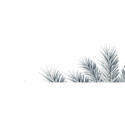<span style="color: #07aefc"></span>素材