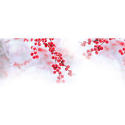 <span style="color: #07aefc"></span>素材