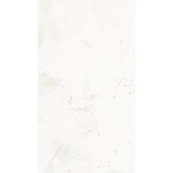 <span style="color: #07aefc"></span>素材
