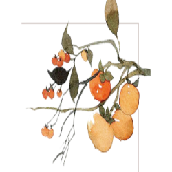 <span style="color: #07aefc"></span>素材