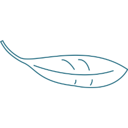 <span style="color: #07aefc"></span>素材