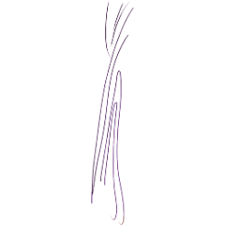 <span style="color: #07aefc"></span>素材