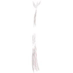 <span style="color: #07aefc"></span>素材