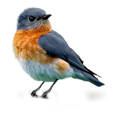 <span style="color: #07aefc"></span>素材