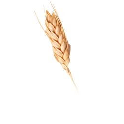 <span style="color: #07aefc"></span>素材