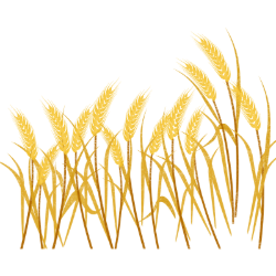 <span style="color: #07aefc"></span>素材