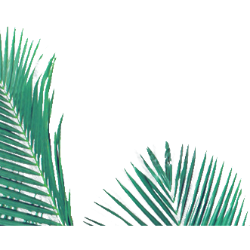 <span style="color: #07aefc"></span>素材