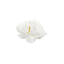 <span style="color: #07aefc"></span>素材