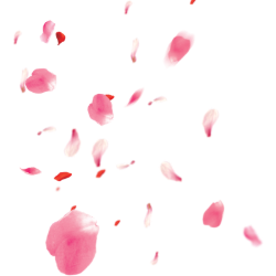 <span style="color: #07aefc"></span>素材