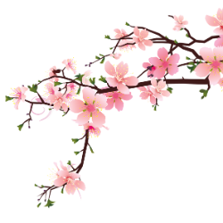 <span style="color: #07aefc"></span>素材