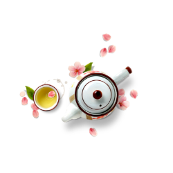<span style="color: #07aefc"></span>素材