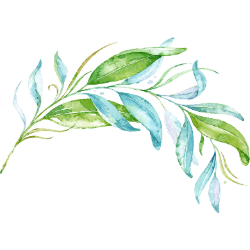 <span style="color: #07aefc"></span>素材