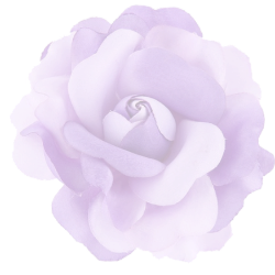 <span style="color: #07aefc"></span>素材