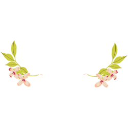 <span style="color: #07aefc"></span>素材