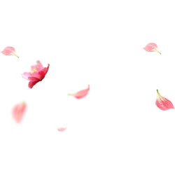<span style="color: #07aefc"></span>素材