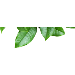 <span style="color: #07aefc"></span>素材