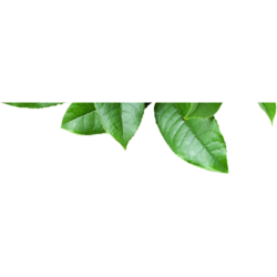 <span style="color: #07aefc"></span>素材
