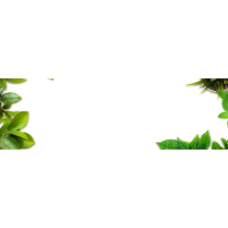<span style="color: #07aefc"></span>素材
