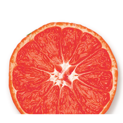 <span style="color: #07aefc"></span>素材
